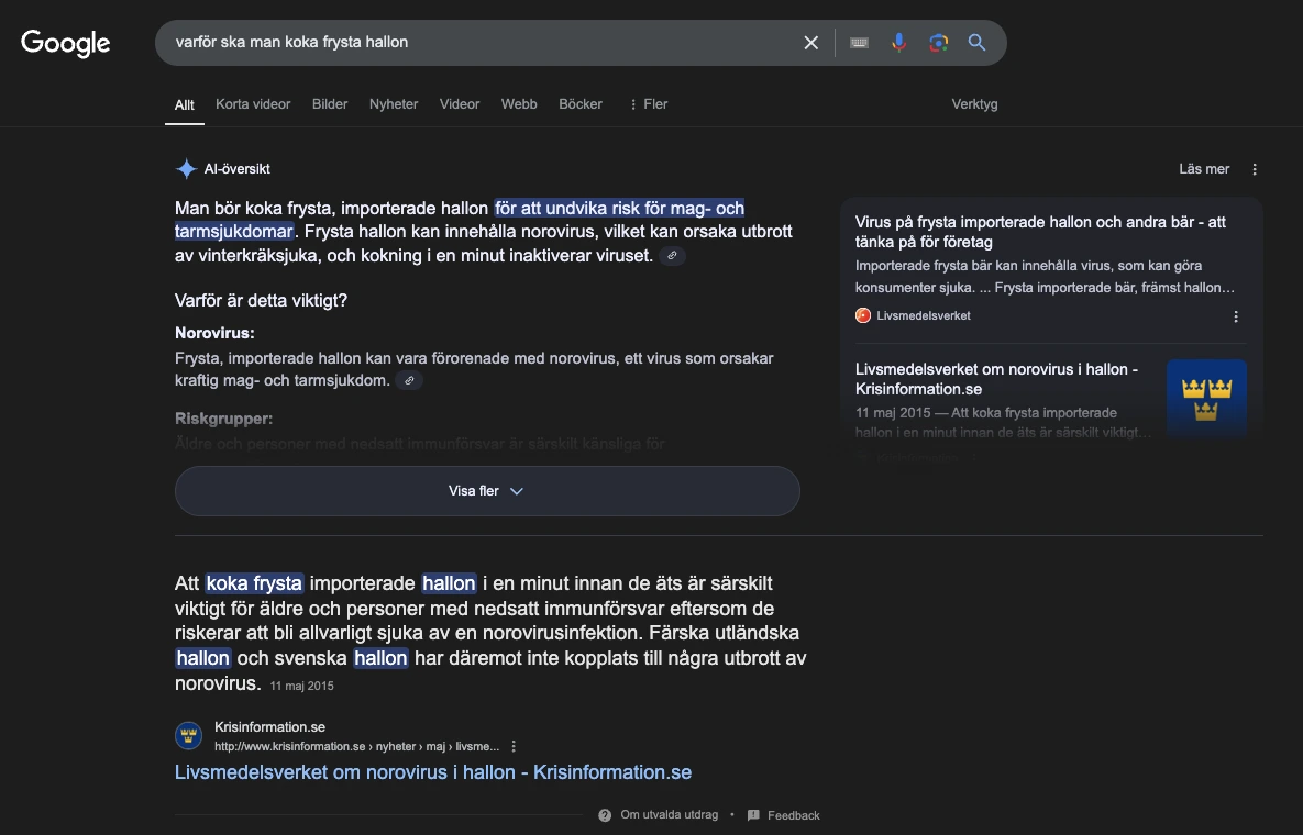Exempel AI Overview Google