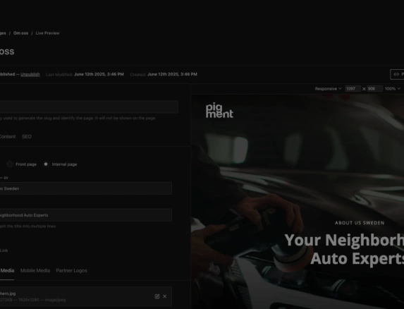 Payload Headless CMS